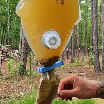 Survive the Wild with Drinkable Water