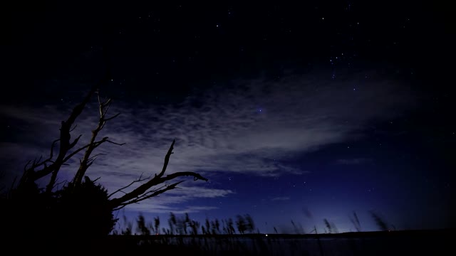 Night Sky Time Lapse