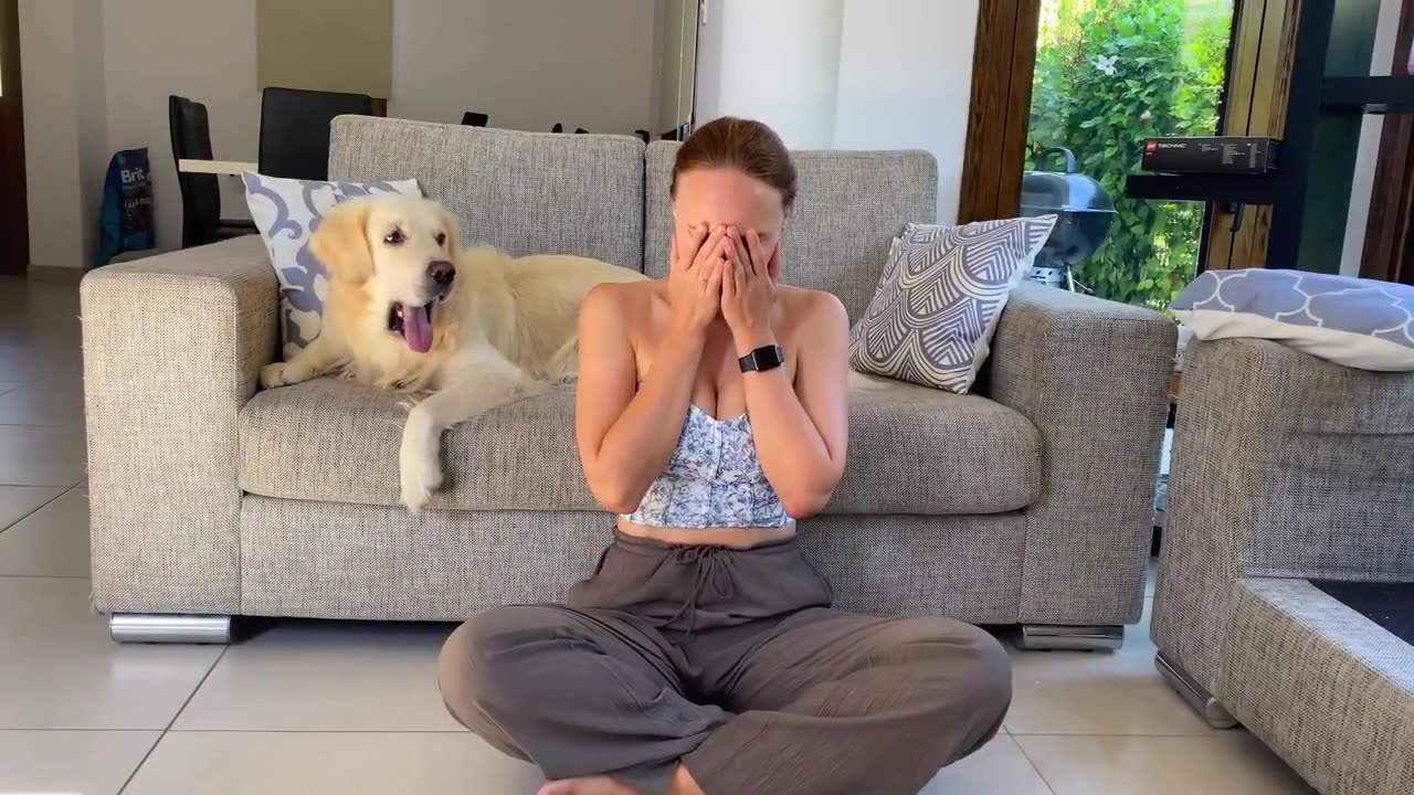 Dog Reaction