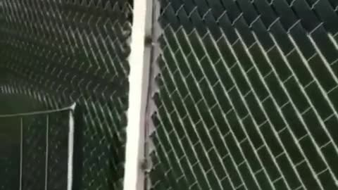 How to make your fence more private EASY