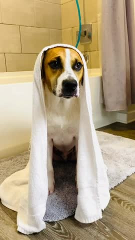 Let's Have A Bath My Love