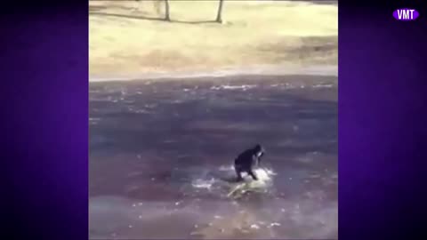 Try not to laugh Part 1