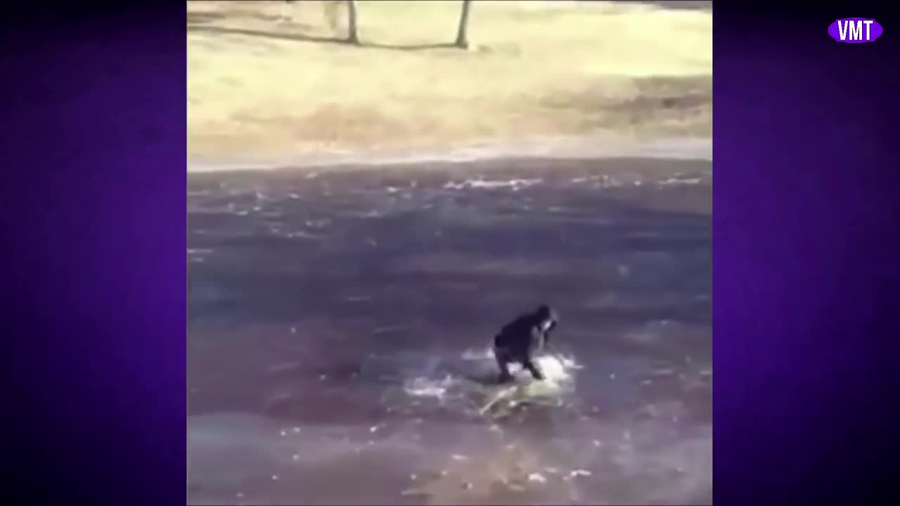 Try not to laugh Part 1