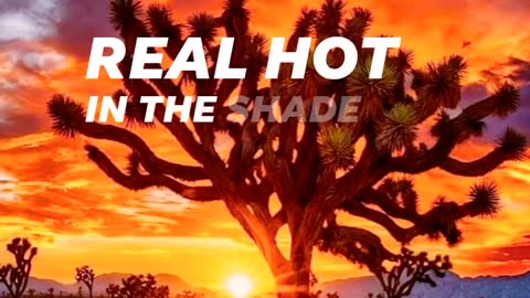 96°