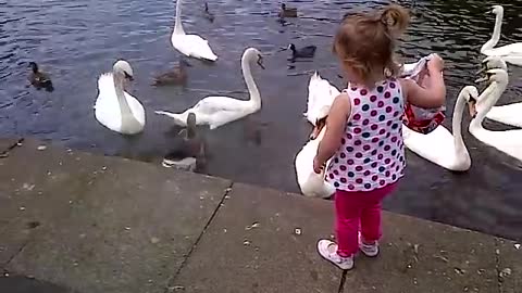 Laughing turns to crying when she is out feeding the ducks - you can't help but laugh!