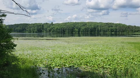 Grebe Lake