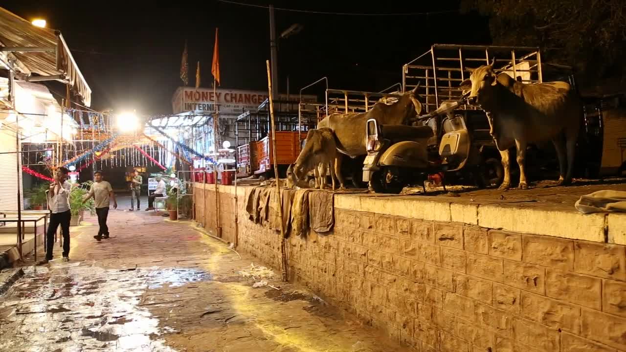 Cows standing at higher street ground while people stand at street