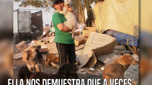 Lleva más de 20 años salvando a los animales de los basureros