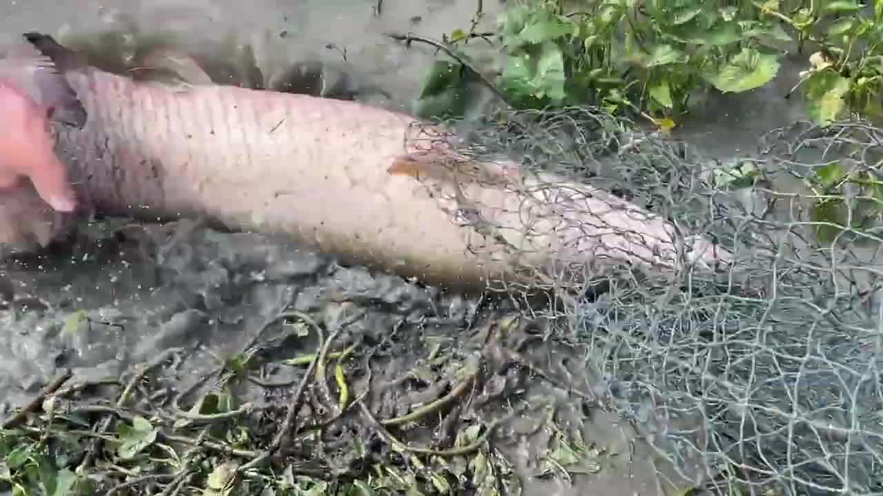 First Time Girl Cast Net Fishing DEFEATED By MONSTER Fish!-13