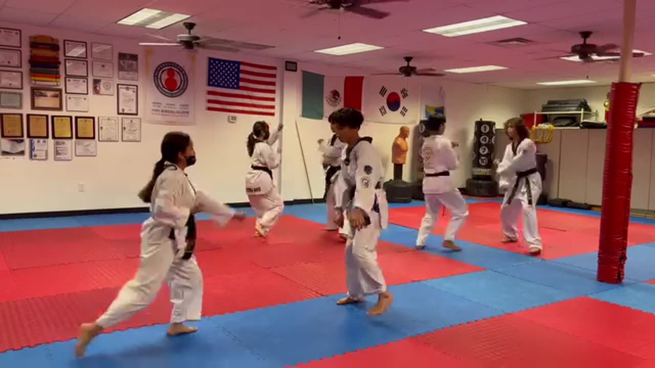 Taekwondo