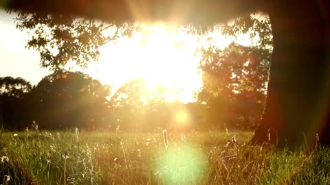30 DAYS OF PRAYER DAY 16 PEACE AND STILLNESS