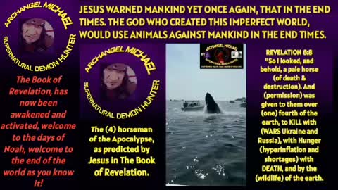 WHEN ANIMALS ATTACK, viewer discretion is advised.
