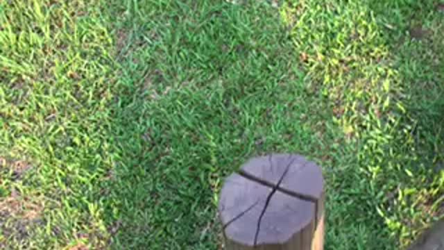 life skills games help the body more perfect