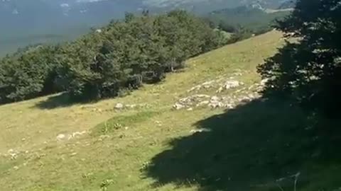 Alberto Bagnai A beneficio degli scolarizzati del 20° Secolo