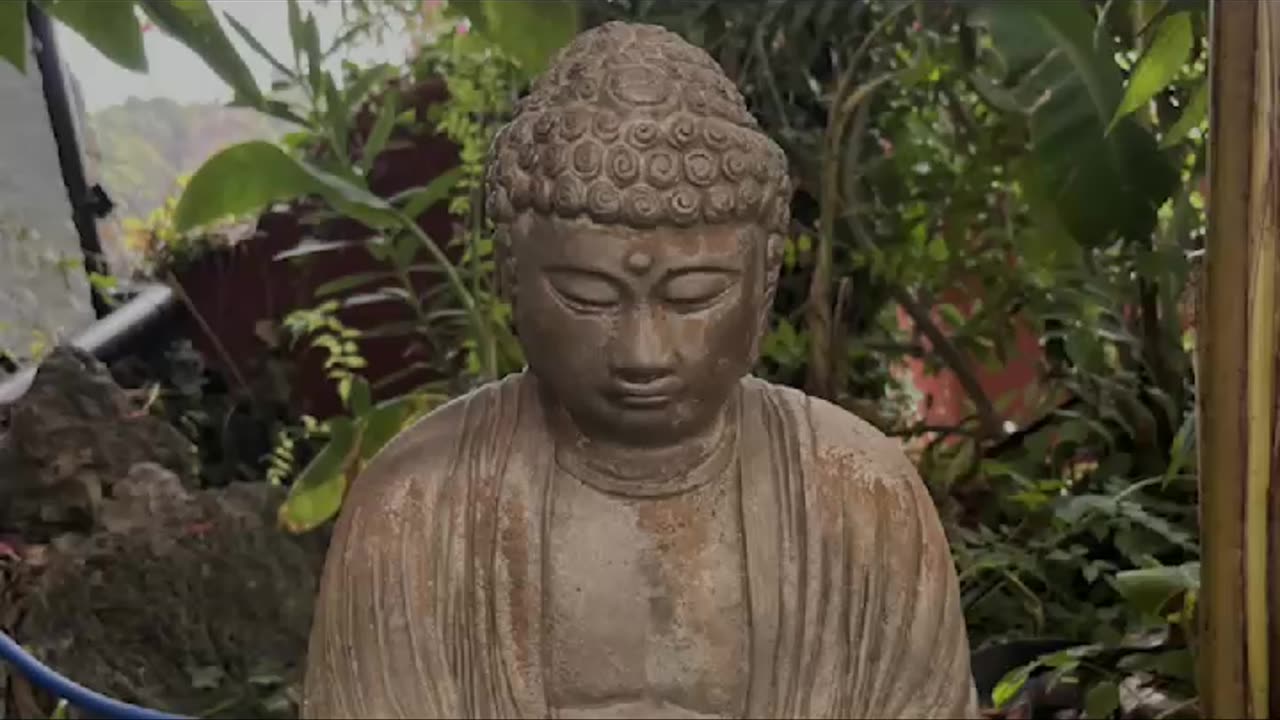The Importance of Developing Concentration