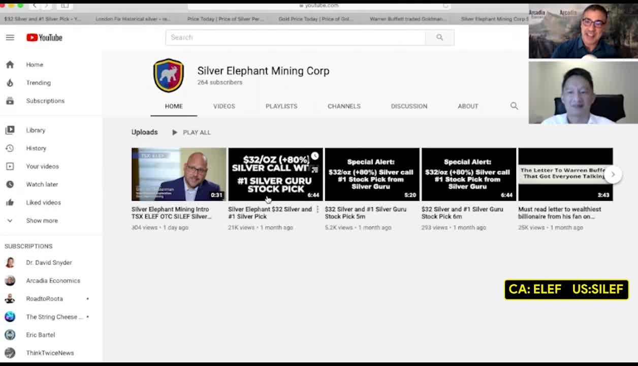 Silver Elephant Is Acquiring Large Lots of Silver In The Ground