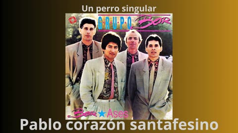 grupo bor