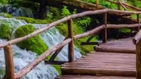 Mind Healing Music, Relaxing Music for Stress Relief