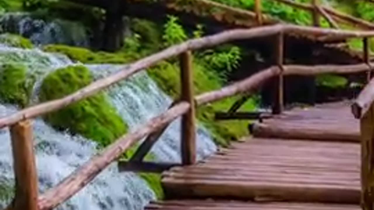 Mind Healing Music, Relaxing Music for Stress Relief