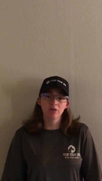 WHY AMERICA NEEDS TO GET BACK TO WORK | Stories from ACTUAL BUSINESS OWNERS | Dog Trainer