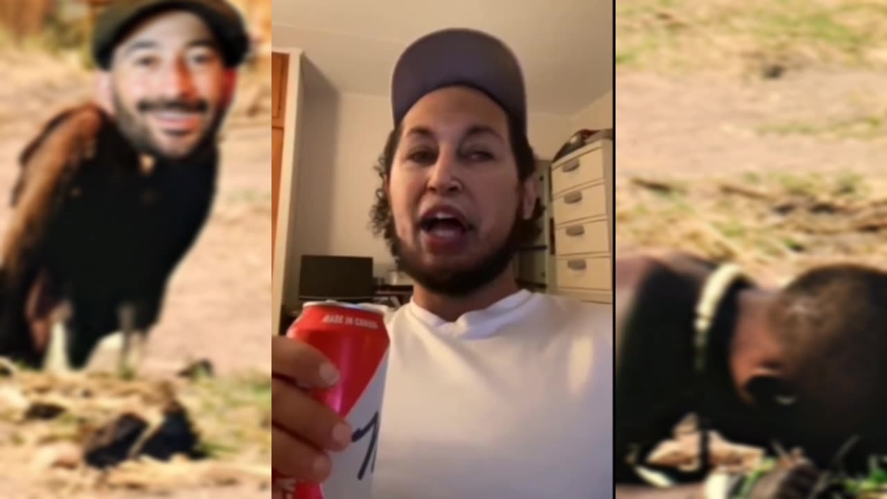 Couching Tyrone, Hidden Dante