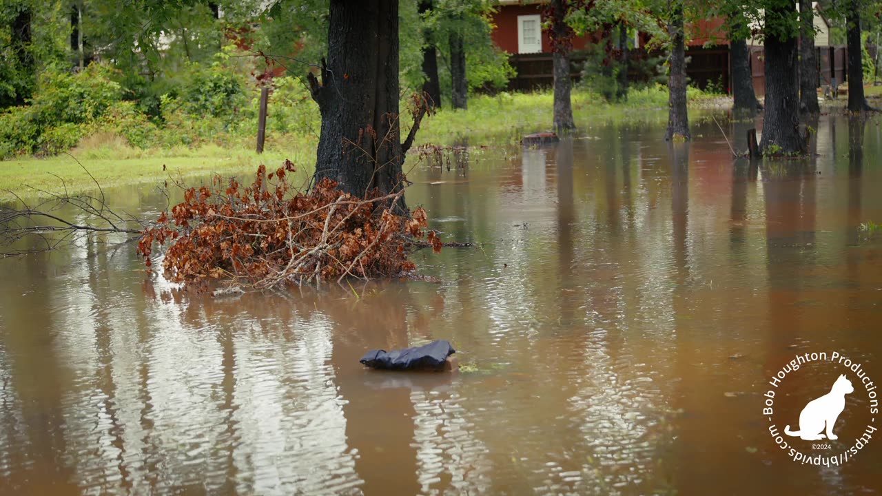 Homestead Flood - Daily - 20240502a