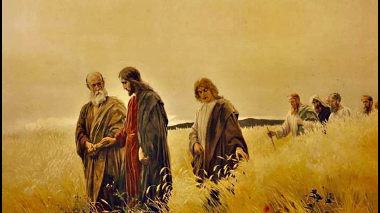 Fr Hewko, 25th Sunday After Pentecost [5th Epiphany] [Audio] 11/10/24 "Parable of Sower"