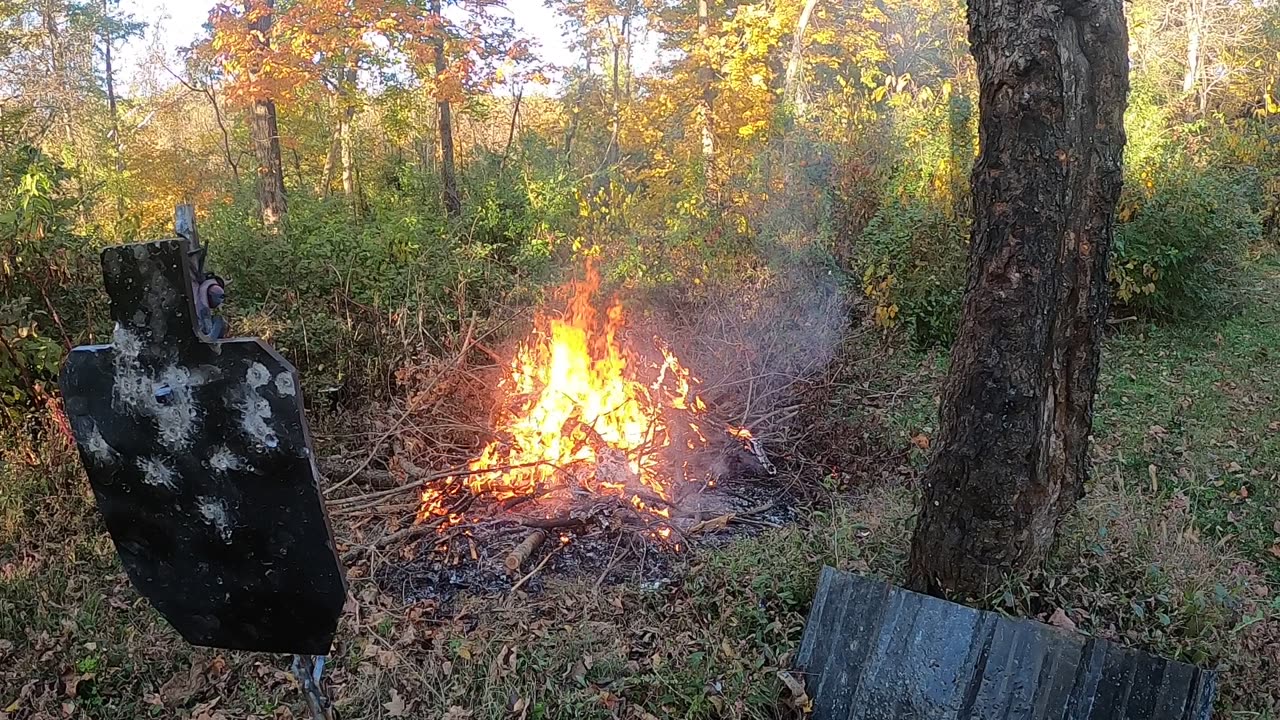 Clearing some fall brush