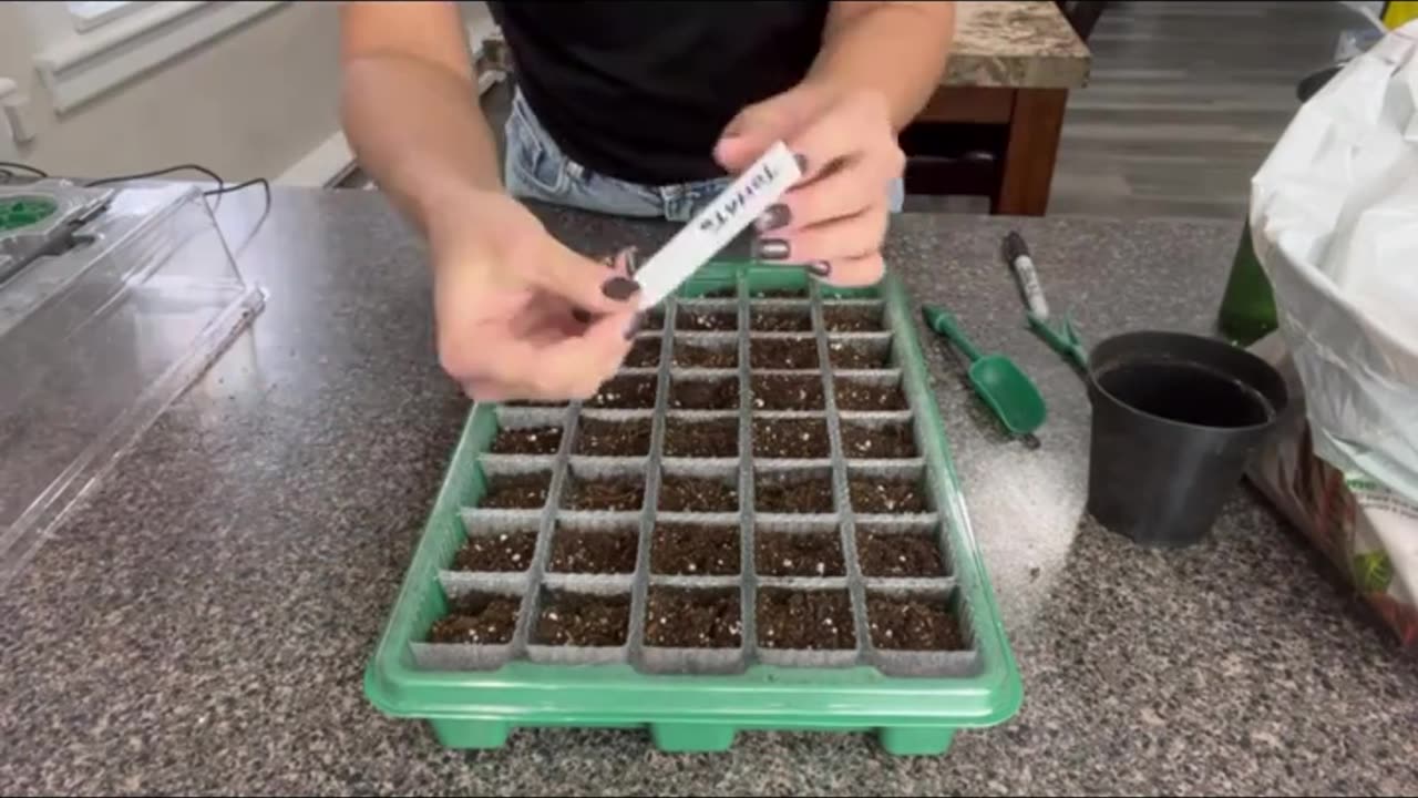 2 Pack Seed Starter Trays with High Dome Germination Kit