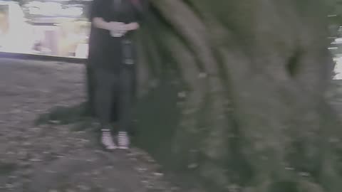 When your friend is hiding from the rain under a tree in a graveyard