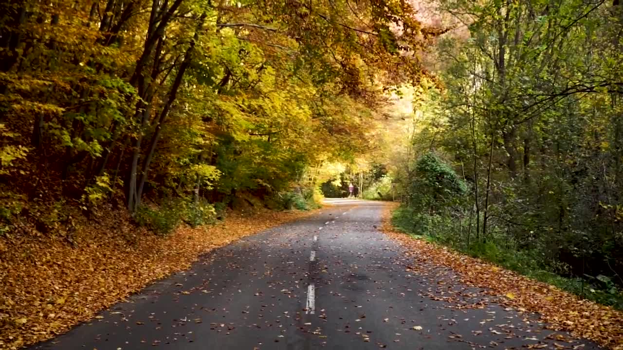 Relaxing Music with Birds Singing Beautiful Piano Music