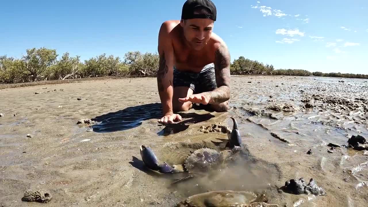 Exploring For Giant Crabs In Tide Pools