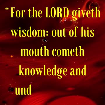 BIBLE VERSE FOR THE DAY... “For the LORD giveth wisdom: out of his mouth cometh knowledge....
