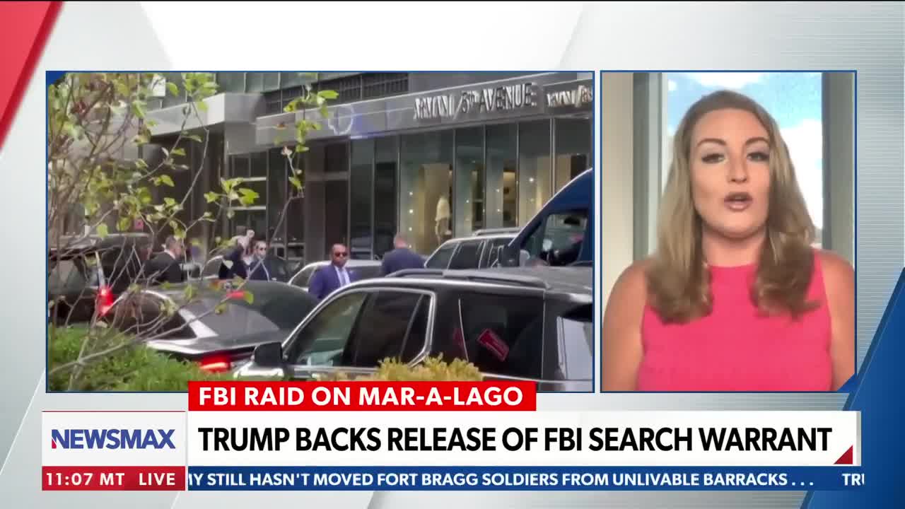 Jenna Ellis: It's political opposition rather than probable cause