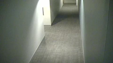 8410OHOB03SouthCorridor_2021-01-06_01h40min00s233ms.mp4