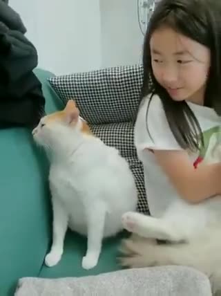 I've never seen a more jealous cat in my life 😹