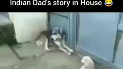 Nothing, just an average Dad's story in every House 😂😂