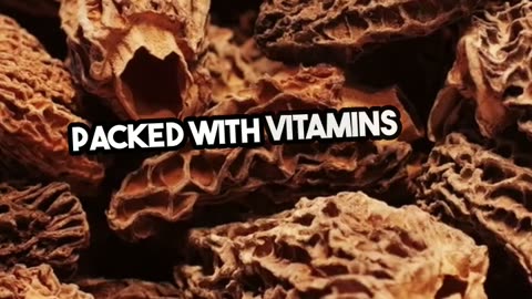 The Lost Super Foods https://t.ly/KUcnI
