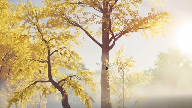 Ghost of Tsushima - Medium - JPN Audio - Intro level skip ( 2022 run)