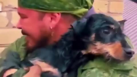 Small dog rescued from flood waters