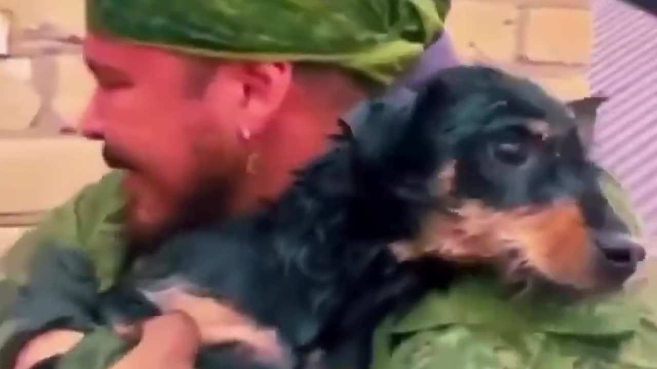 Small dog rescued from flood waters