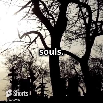 YYV2C1 An Introduction to God - Three Destinations for Human Souls excerpt p 44