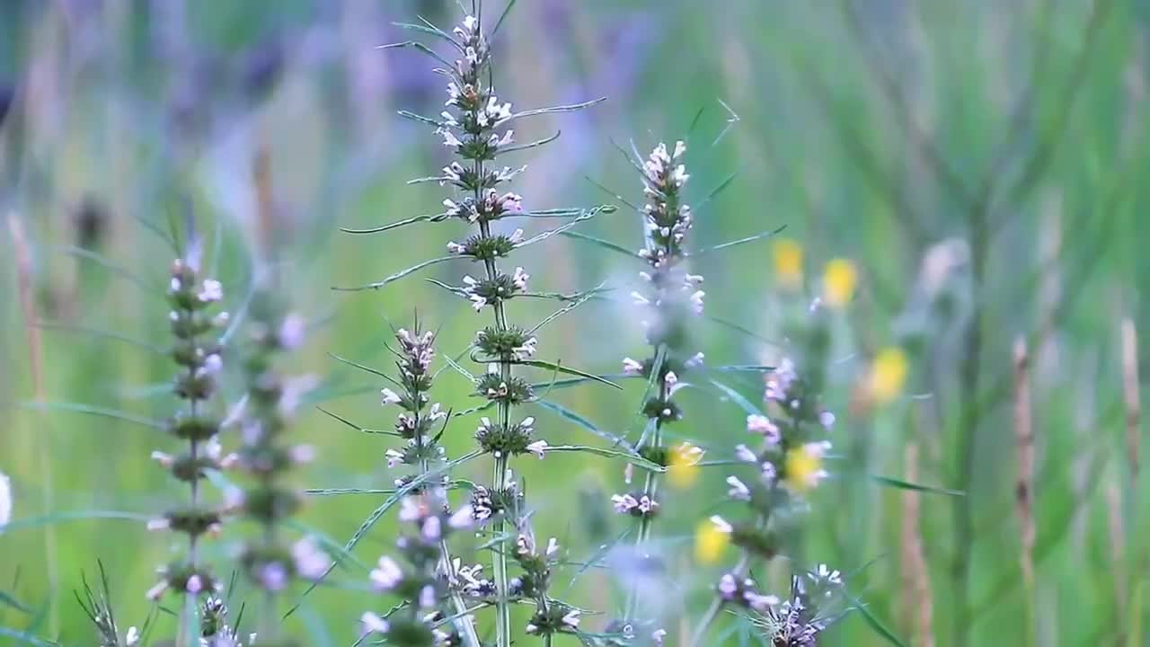 Only by learning to live in harmony can we safely enjoy the feedback that nature gives us.