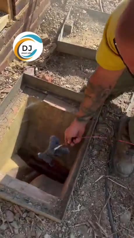 This was ... Unexpected...