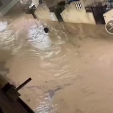 🚨 WARNING ⚠️ TO HUMANITY❗❗❗