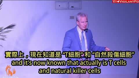屍檢證實：新冠基因疫苗的指紋遍布全身 安裝了刺突蛋白的遺傳密碼 打針的人全身不受控制的一直產生大量有毒刺突蛋白