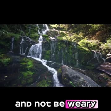 The Value of Patience Waiting on the Lord