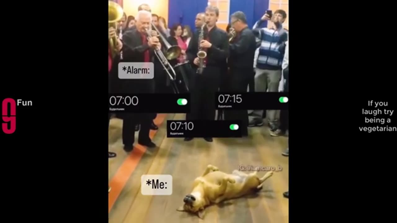 Try not to laugh with this video