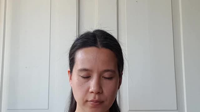 Guided meditation for Animals