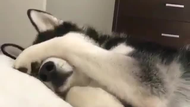 The lights are too bright, I'm going to sleep
